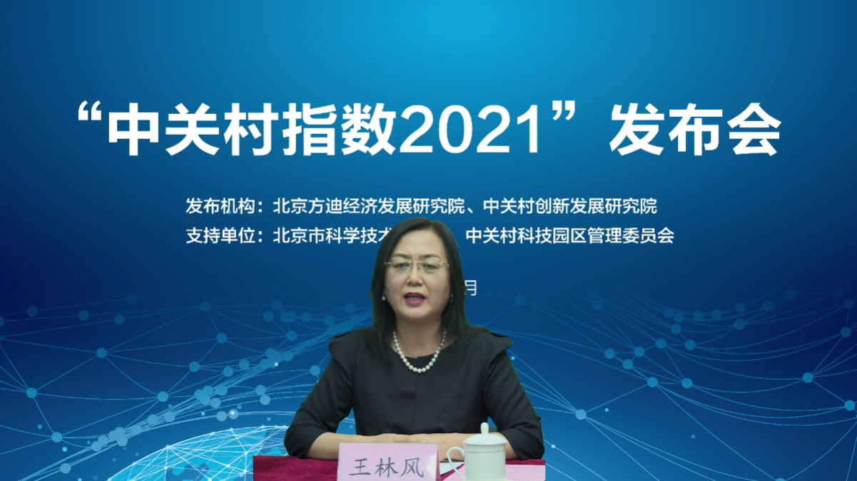 主持人北京方迪经济发展研究院理事长王林风.png 主持人北京方迪经济发展研究院理事长王林风.png